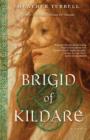 Image for Brigid of Kildare: A Novel
