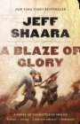 Image for A blaze of glory  : a novel of the Battle of Shiloh