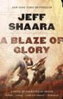 Image for A blaze of glory: a novel of the Battle of Shiloh