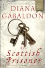 Image for The Scottish prisoner: a novel