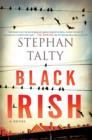 Image for Black Irish: a novel