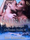 Image for Satin Ice: The Delaneys: The Untamed Years II
