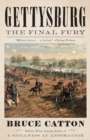 Image for Gettysburg: The Final Fury