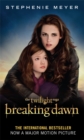 Image for Breaking dawn : Pt. 2