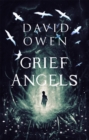 Image for Grief Angels