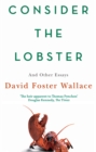 Image for Consider the lobster and other essays
