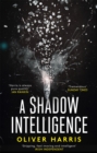 Image for A shadow intelligence