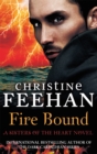 Image for Fire Bound