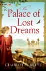 Image for The palace of lost dreams