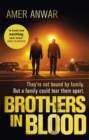 Image for Brothers in Blood