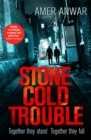Image for Stone Cold Trouble