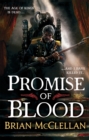 Image for Promise of Blood