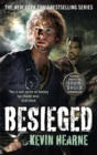 Image for Besieged  : stories from the Iron druid chronicles