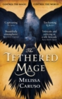 Image for The tethered mage