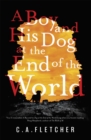 Image for A Boy and his Dog at the End of the World