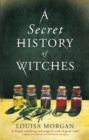 Image for A secret history of witches