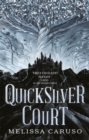 Image for The quicksilver court