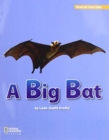 Image for ROYO READERS LEVEL A A BIG BAT
