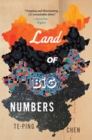 Image for Land Of Big Numbers : Stories