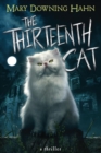 Image for Thirteenth Cat