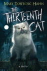 Image for The Thirteenth Cat