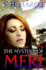 Image for The Mystery of Meri