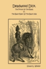 Image for Deadwood Dick, The Prince Of The Road; or, The Black Rider Of The Black Hills