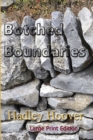 Image for Botched Boundaries (LP)