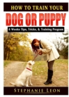 Image for How to Train Your Dog or Puppy : 4 Weeks Tips, Tricks, &amp; Training Program
