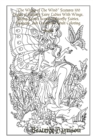 Image for &quot;The Wings of The Wind&quot; Features 100 Pages of Fantasy Fairy Ladies With Wings, Flying Fairies Scenes, Butterfly Fairies, Dragons, and Creatures (Adult Coloring Book)