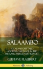Image for Salaambo: A Calamitous Tale - Ancient Carthage in the Historic Mercenary Revolt (Hardcover)