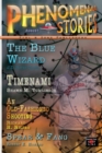 Image for Phenomenal Stories, Vol. 2, No. 8, August 2019