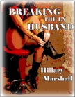 Image for Breaking the Ex Husband