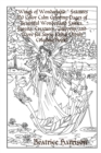 Image for &quot;Wings of Wonderland:&quot; Features 100 Color Calm Coloring Pages of Beautiful Wonderland Fairies, Forests, Creatures, Unicorns, and More for Stress Relief (Adult Coloring Book)