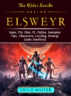 Image for Elder Scrolls Elsweyr, Ps4, Xbox One, Pc, Online, Classes, Armor, Weapons, Tips, Strategy, Game Guide Unofficial