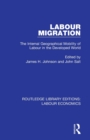 Image for Labour migration  : the internal geographical mobility of labour in the developed world