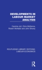 Image for Developments in Labour Market Analysis