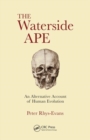 Image for The Waterside Ape : An Alternative Account of Human Evolution
