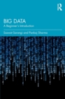 Image for Big data  : a beginner&#39;s introduction