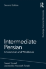 Image for Intermediate Persian  : a grammar and workbook