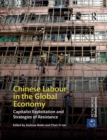 Image for Chinese labour in the global economy  : capitalist exploitation and strategies of resistance