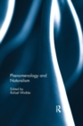 Image for Phenomenology and Naturalism