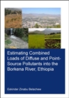 Image for Estimating Combined Loads of Diffuse and Point-Source Pollutants Into the Borkena River, Ethiopia