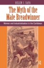 Image for The Myth Of The Male Breadwinner