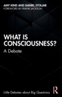 Image for What is Consciousness?