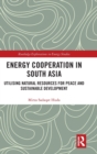 Image for Energy Cooperation in South Asia