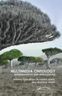 Image for Multimedia ontology  : representation and applications