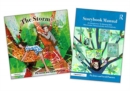 Image for The storm and Storybook manual  : for children growing through parents&#39; separation