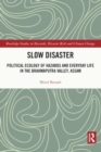 Image for Slow Disaster : Political Ecology of Hazards and Everyday Life in the Brahmaputra Valley, Assam