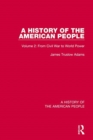 Image for A history of the american peopleVolume 2,: From Civil War to world power